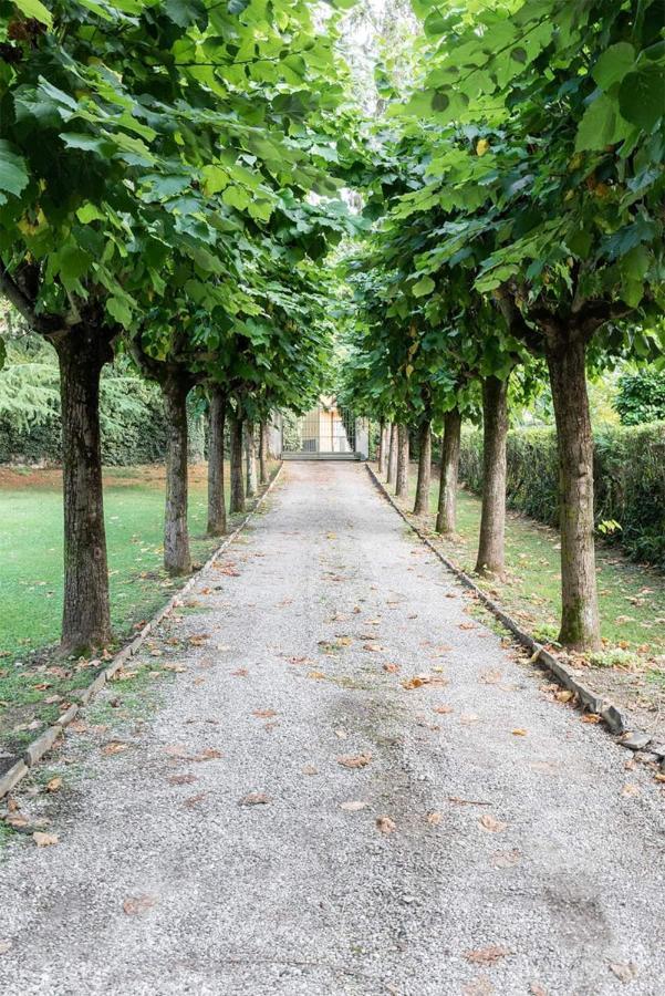 Villa Elisabeth Lierna Exterior photo